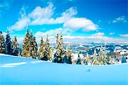 Панорама зимових Карпат в турі на Новий рік