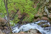 Водоспад Шипот і Пилипець в турі в Карпати і Закарпаття 